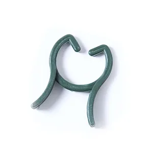 anilla ornamental
