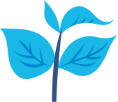 planta
