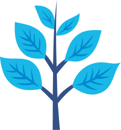 planta